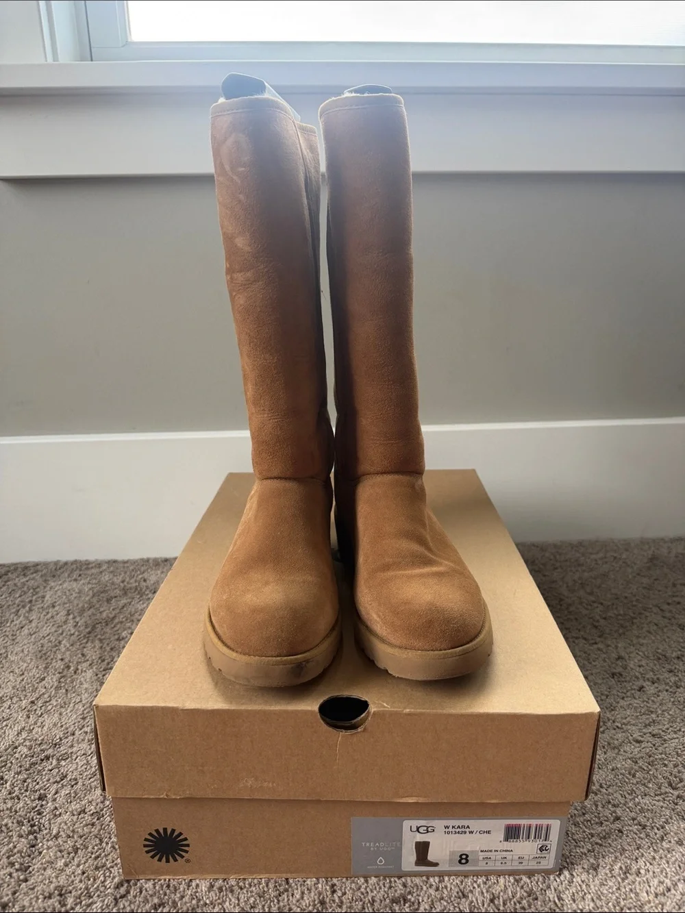 UGG Women's Tall Chestnut Suede Boots